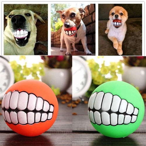 Dog Teeth Toy